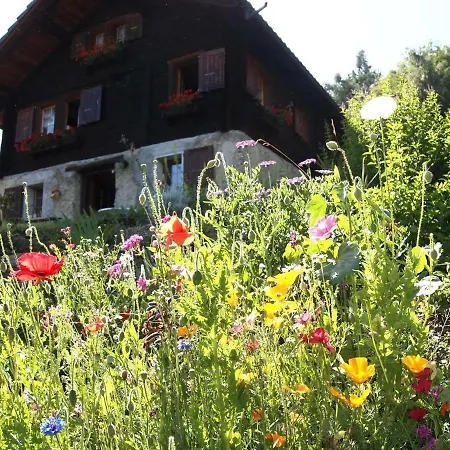 Chalet Chalet Cathy Erde